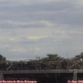 13_00-mast.jpg