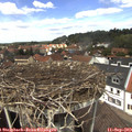 13_00-nest.jpg