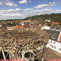 13_05-nest.jpg