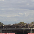 13_10-mast.jpg