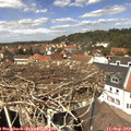 13_10-nest.jpg
