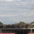13_15-mast.jpg