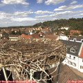 13_15-nest.jpg