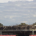 13_20-mast.jpg