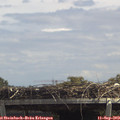 13_25-mast.jpg