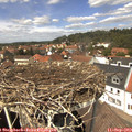 13_25-nest.jpg