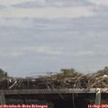 13_35-mast.jpg