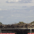 13_40-mast.jpg