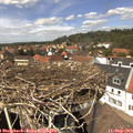 13_40-nest.jpg