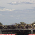 13_45-mast.jpg