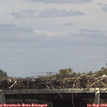 13_55-mast.jpg