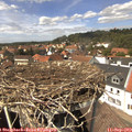 13_55-nest.jpg