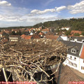 14_00-nest.jpg