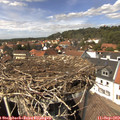 14_05-nest.jpg