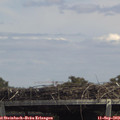 14_10-mast.jpg