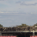 14_15-mast.jpg