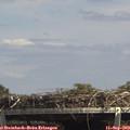 14_20-mast.jpg