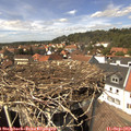 14_20-nest.jpg