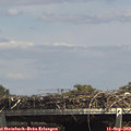 14_25-mast.jpg