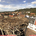 14_30-nest.jpg
