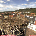 14_35-nest.jpg