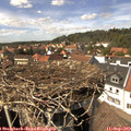 14_40-nest.jpg