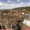 14_45-nest.jpg