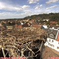 14_55-nest.jpg