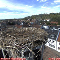 15_00-nest.jpg