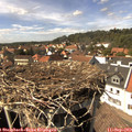 15_05-nest.jpg