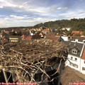 15_10-nest.jpg