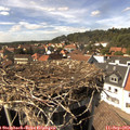 15_15-nest.jpg