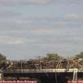 15_20-mast.jpg