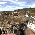 15_20-nest.jpg