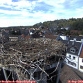 15_30-nest.jpg
