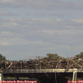 15_40-mast.jpg