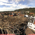 15_40-nest.jpg