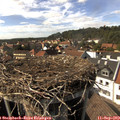 15_45-nest.jpg
