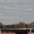 15_50-mast.jpg