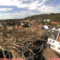 15_55-nest.jpg