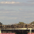 16_00-mast.jpg