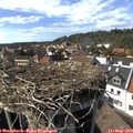 16_00-nest.jpg