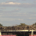 16_05-mast.jpg