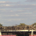 16_15-mast.jpg