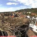 16_15-nest.jpg