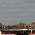 16_20-mast.jpg