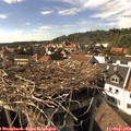 16_20-nest.jpg