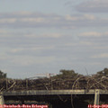 16_25-mast.jpg