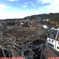 16_25-nest.jpg