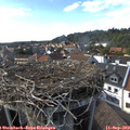 16_30-nest.jpg